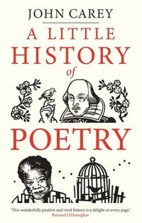 bokomslag A Little History of Poetry