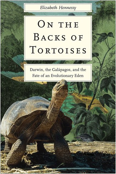 Elizabeth Hennessy - On the Backs of Tortoises, Inbunden
