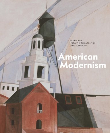 bokomslag American Modernism