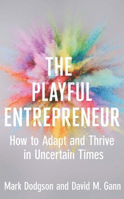 The Playful Entrepreneur 1