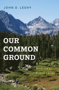 bokomslag Our Common Ground: A History of America's Public Lands
