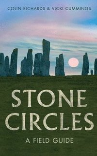 bokomslag Stone Circles