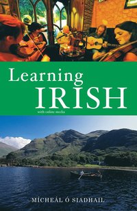 bokomslag Learning Irish