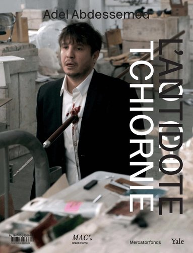 Eric de Chassey, Donatien Grau, Mark Nash, Paul Ardenne, Kamel Daoud, Michele Robecchi, Octavio Zaya, Denis Gielen, Thierry Raspail - Adel Abdessemed, Häftad