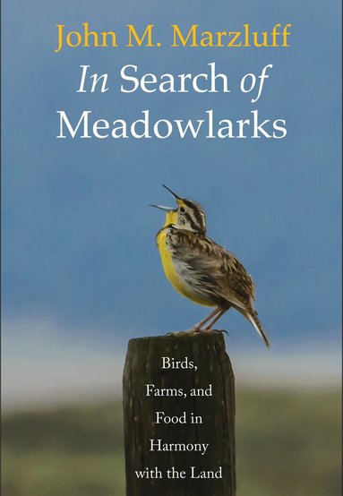 John M. Marzluff - In Search of Meadowlarks, Inbunden