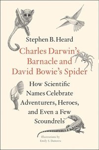 bokomslag Charles Darwin's Barnacle and David Bowie's Spider