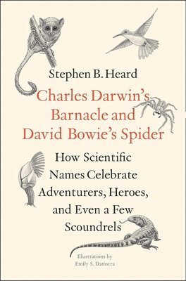 Charles Darwin's Barnacle and David Bowie's Spider