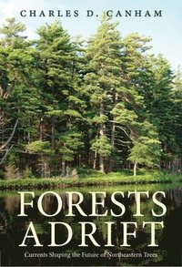 bokomslag Forests Adrift