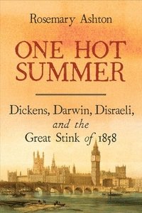 bokomslag One Hot Summer