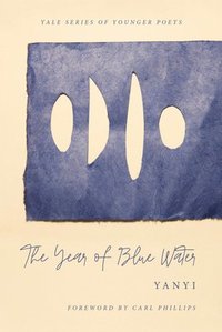 bokomslag The Year of Blue Water