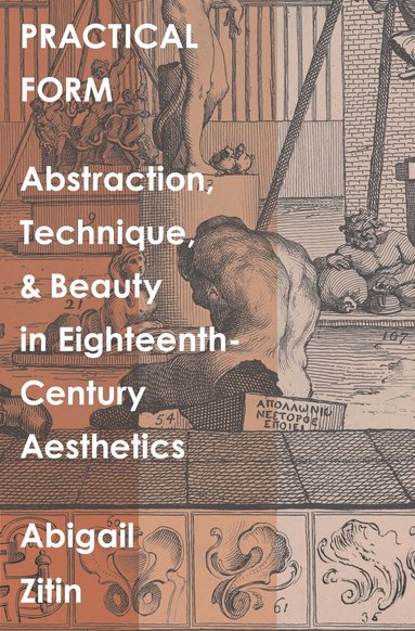 Abigail Zitin - Practical Form, Inbunden