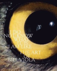 bokomslag I Do Not Know What It Is I Am Like: The Art of Bill Viola