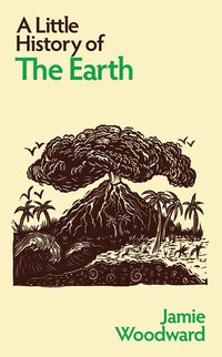 bokomslag Little History of the Earth