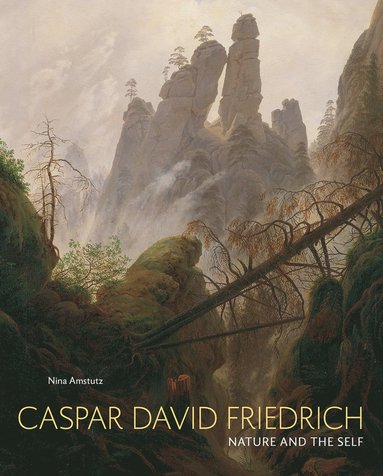 bokomslag Caspar David Friedrich