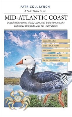 Patrick J. Lynch, Patrick J Lynch - A Field Guide to the Mid-Atlantic Coast: Including the Jersey Shore, Cape May, Delaware Bay, the Delmarva Peninsula, and the Outer Banks, Häftad