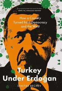 bokomslag Turkey Under Erdogan