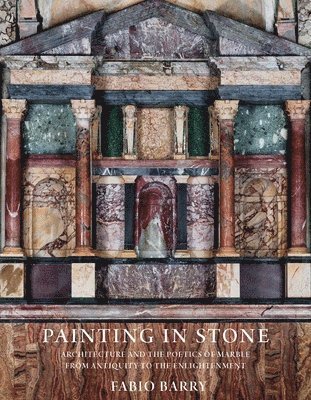 Fabio Barry - Painting in Stone, Häftad