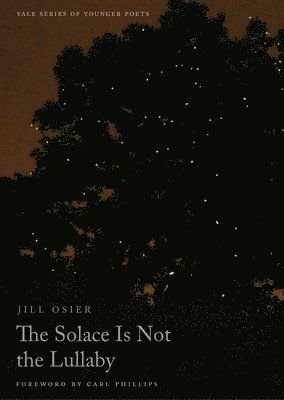 The Solace Is Not the Lullaby 1