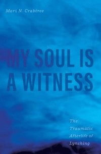 bokomslag My Soul Is a Witness