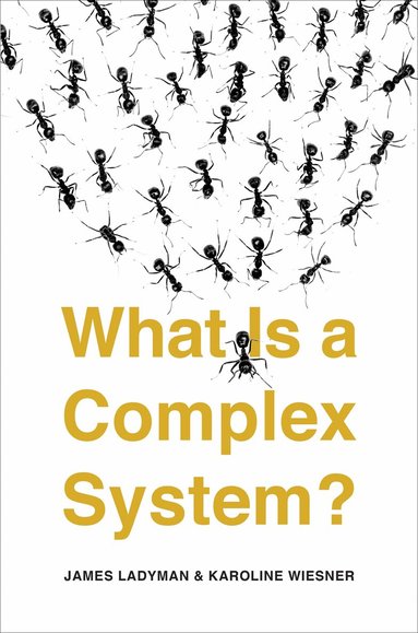 James Ladyman, Karoline Wiesner - What Is a Complex System?, Häftad
