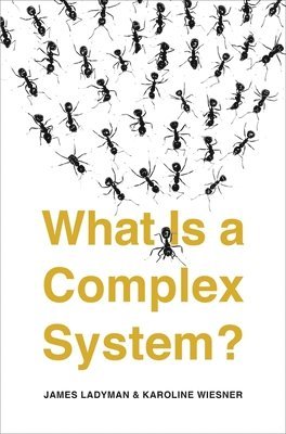 bokomslag What Is a Complex System?