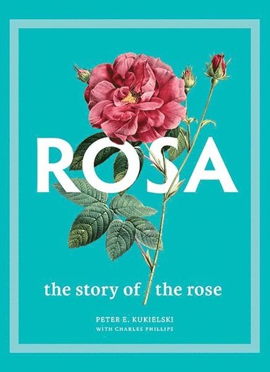 bokomslag Rosa