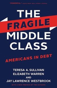 bokomslag The Fragile Middle Class