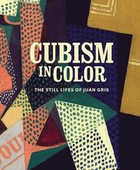 bokomslag Cubism in Color