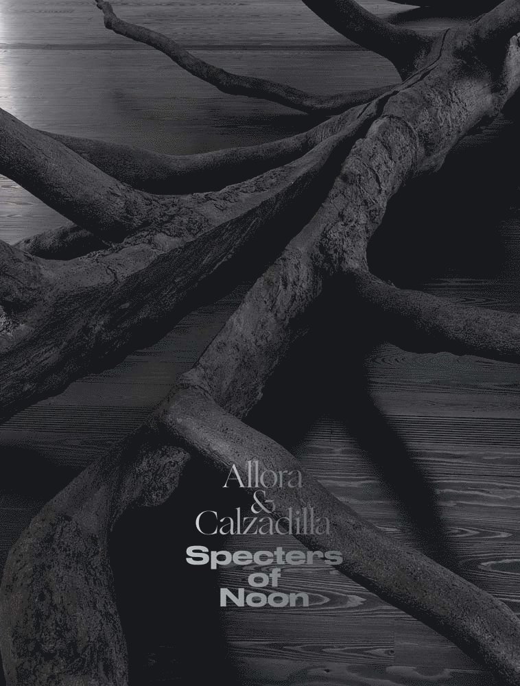 Michelle White - Allora & Calzadilla Specters of Noon, Inbunden