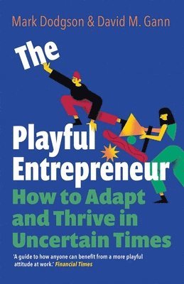 The Playful Entrepreneur: How to Adapt and Thrive in Uncertain Times
