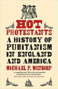 bokomslag Hot Protestants