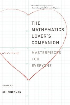 bokomslag The Mathematics Lovers Companion