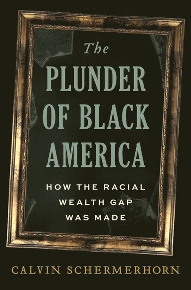 bokomslag Plunder of Black America