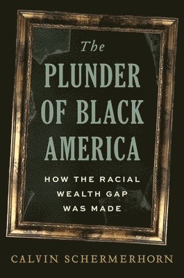 bokomslag The Plunder of Black America