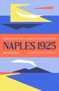 bokomslag Naples 1925