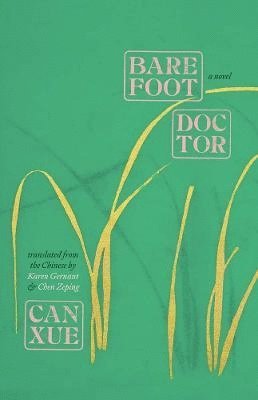 bokomslag Barefoot Doctor