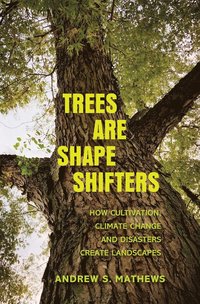 bokomslag Trees Are Shape Shifters