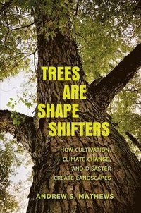 bokomslag Trees Are Shape Shifters