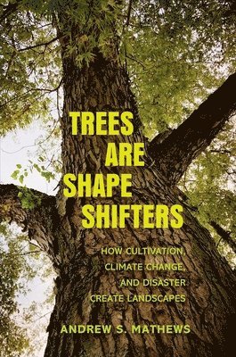 Trees Are Shape Shifters 1