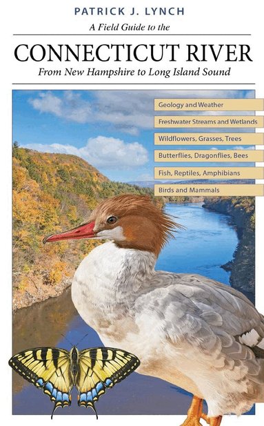 Patrick J. Lynch - Field Guide to the Connecticut River, Häftad