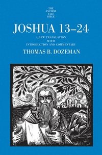 bokomslag Joshua 13-24