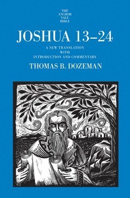 bokomslag Joshua 13-24