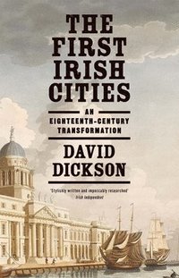 bokomslag The First Irish Cities