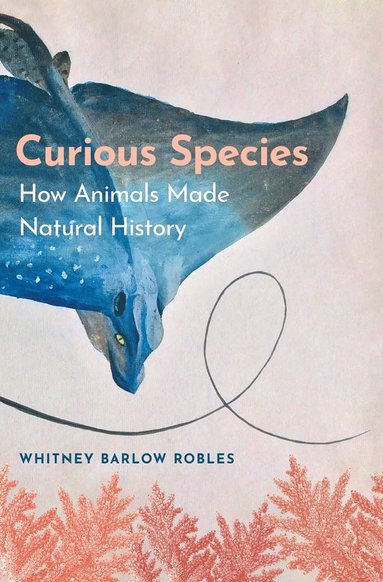 bokomslag Curious Species
