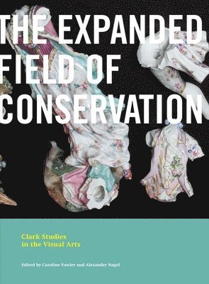The Expanded Field of Conservation 1