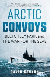 bokomslag Arctic Convoys