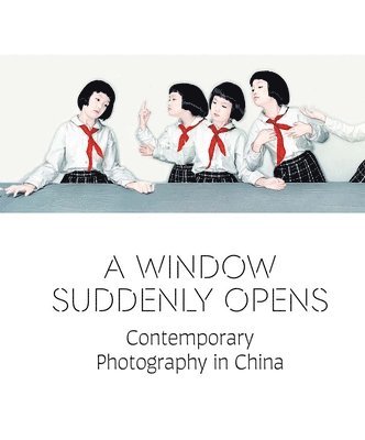 A Window Suddenly Opens 1