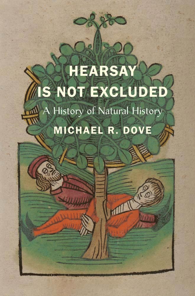 Hearsay Is Not Excluded 1