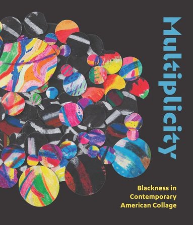 Kathryn E. Delmez - Multiplicity, Inbunden