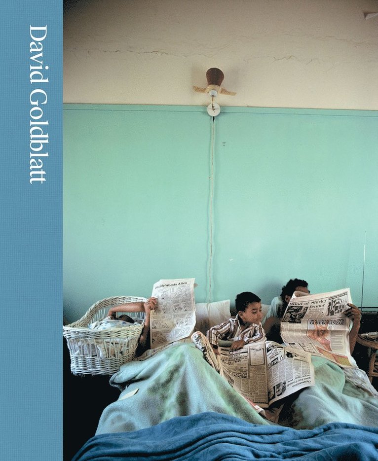 Judy Ditner, Leslie M Wilson, Matthew S. Witkovsky, Leslie M. Wilson - David Goldblatt, Inbunden
